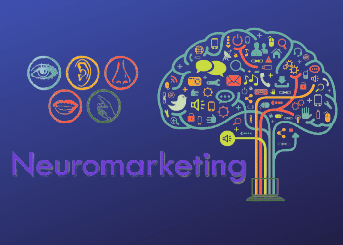 Nöro Satış Teknikleri Eğitimi