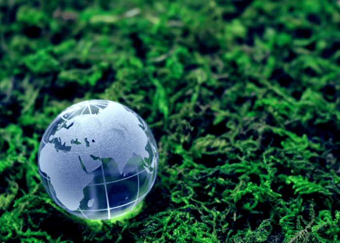 ISO 14001 : 2015 ÇEVRE YÖNETİM SİSTEMİ BAŞ DENETÇİLİK EĞİTİMİ